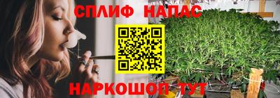 ПСИЛОЦИБИНОВЫЕ ГРИБЫ Коммунар
