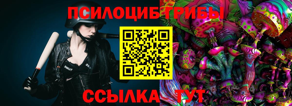 Галлюциногенные грибы Psilocybe Биробиджан