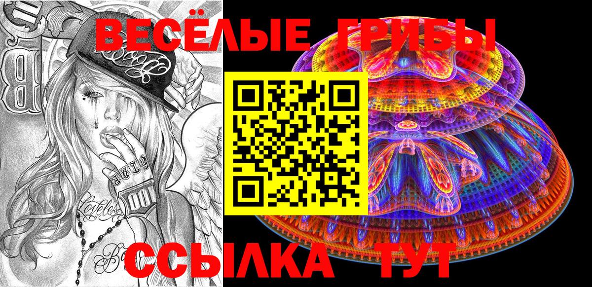 Биробиджан  Псилоцибиновые грибы прущие грибы  Вход с VPN  Псилоцибиновые грибы Cubensis 